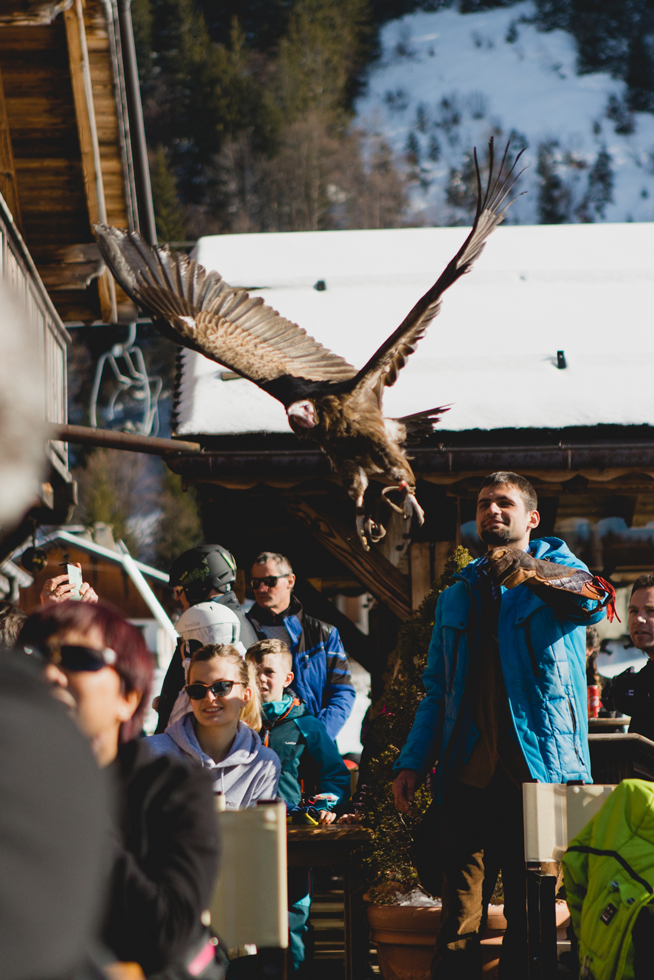 AiglesduLéman_Morzine