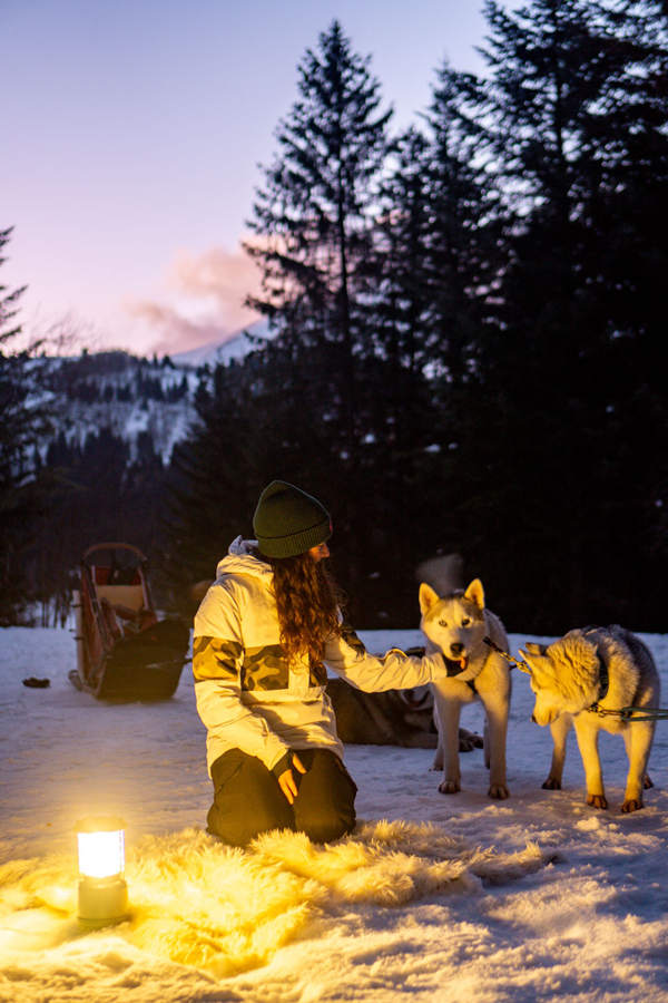 Randonnée_Nocturne_Hiver_Chien