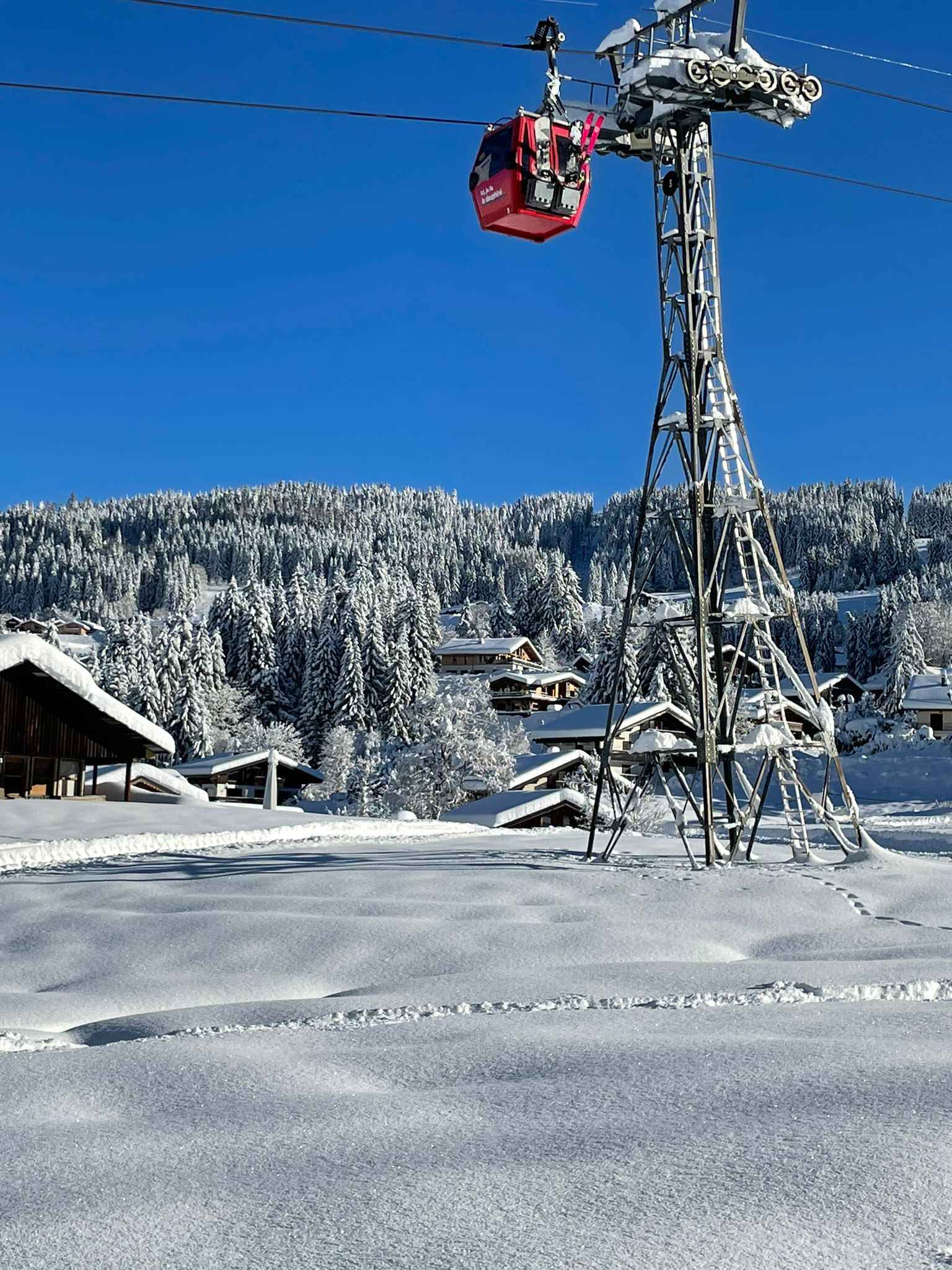 1757262248fa1717adccb9e16611ce83a6c23b1f61 - Attribut alt par défaut.