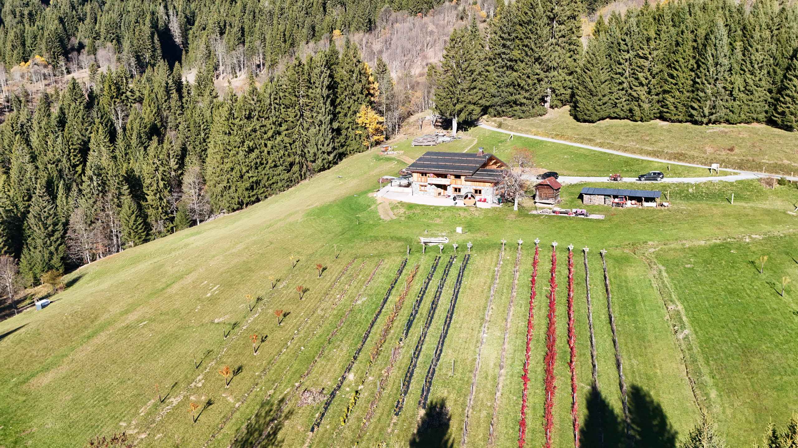 1762426516c0f29ca8d650ce3495453e394b2f4d39 - Translation missing: en.helpers.application.image_tag.default_alt