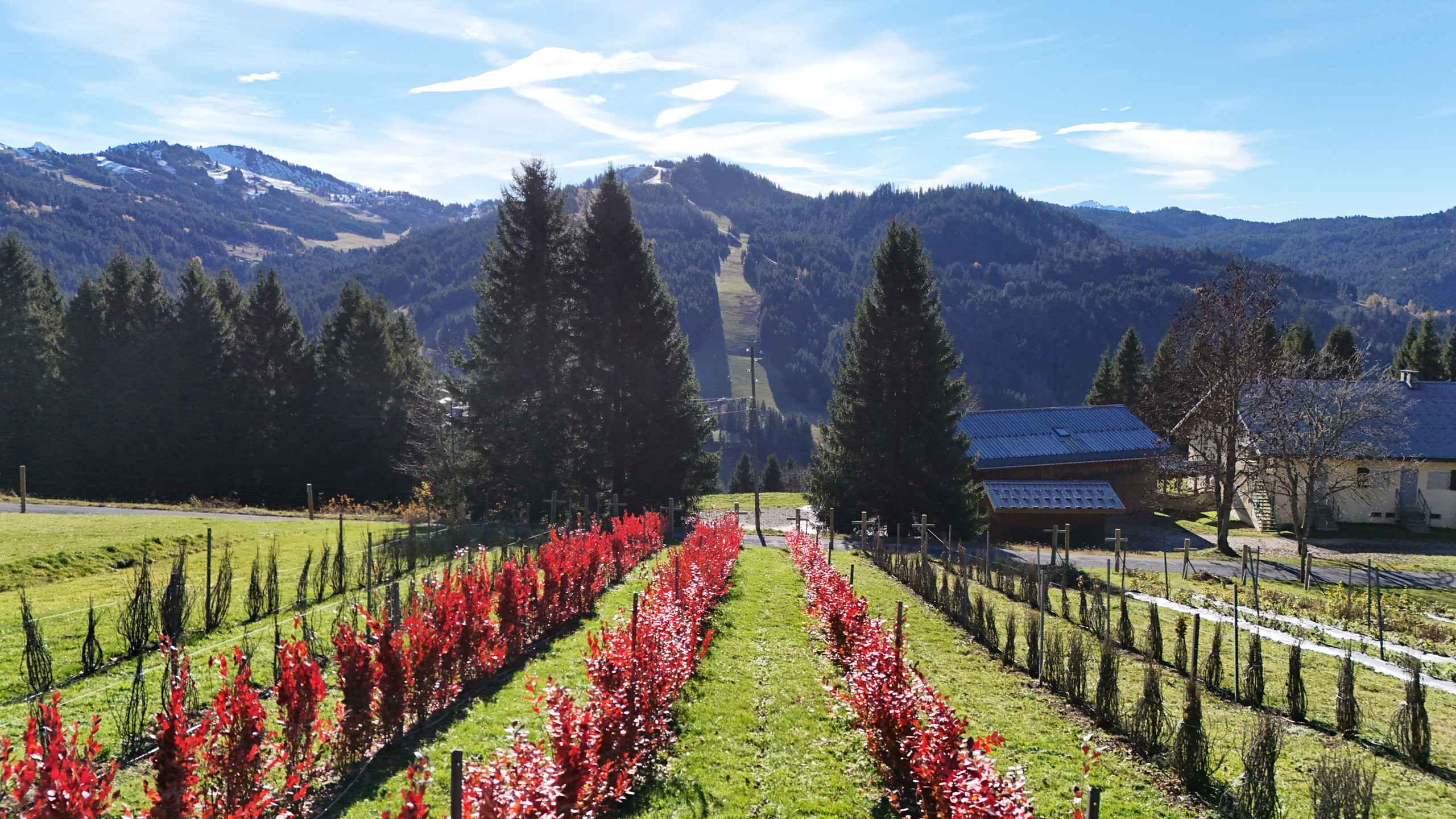 1762426491fe3b3cb49c67467edcc406762cf08699 - Translation missing: en.helpers.application.image_tag.default_alt