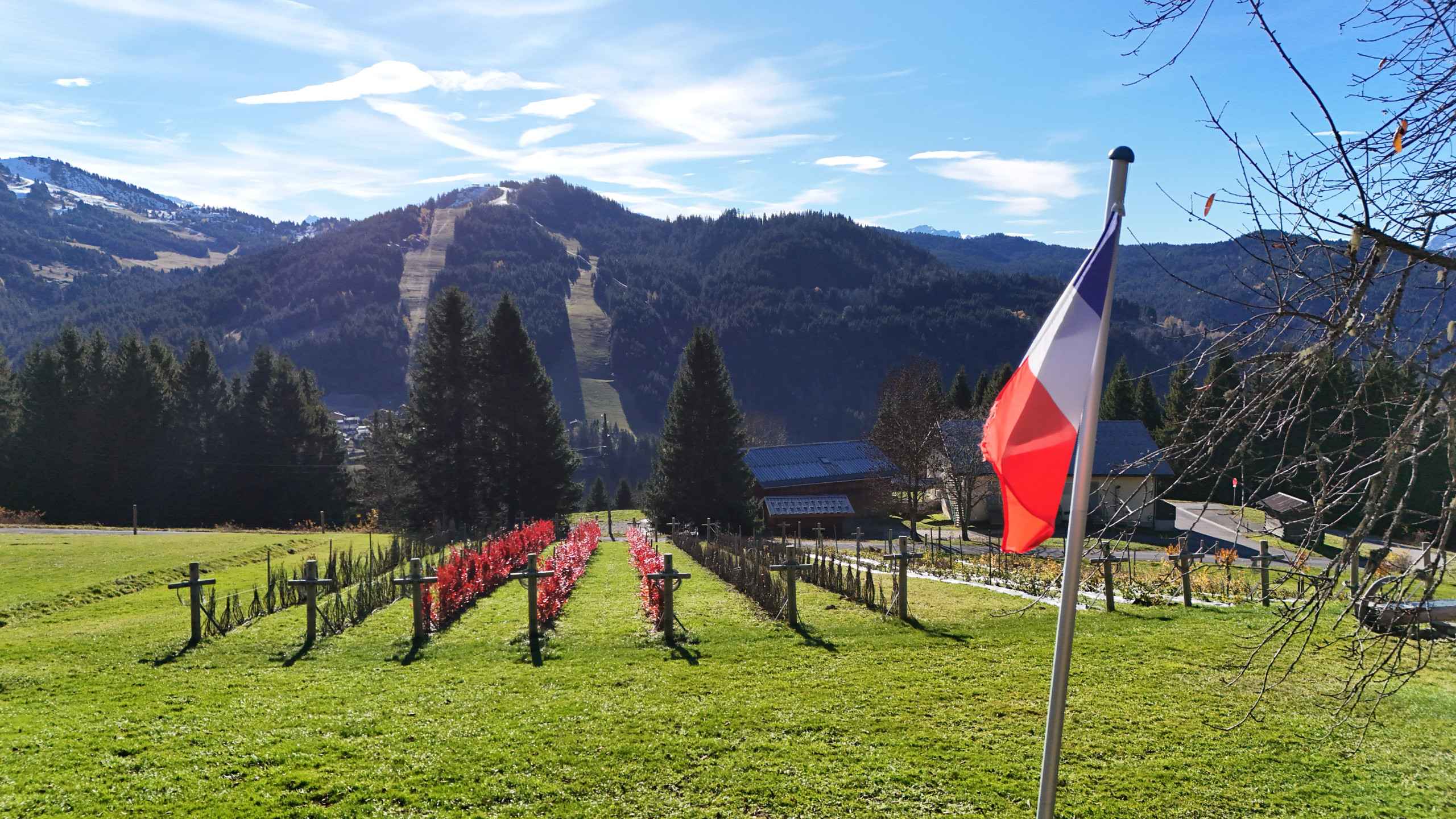 1762426501613e76d14a124294bd2908975fd312c3 - Translation missing: en.helpers.application.image_tag.default_alt