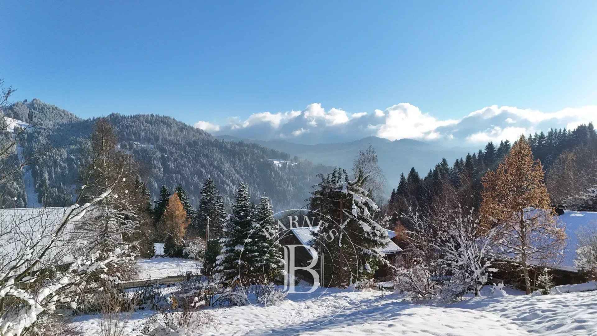 52468010e1cbdf33f129e3fc43c18113 1c86053c54 1920 original - Translation missing: en.helpers.application.image_tag.default_alt