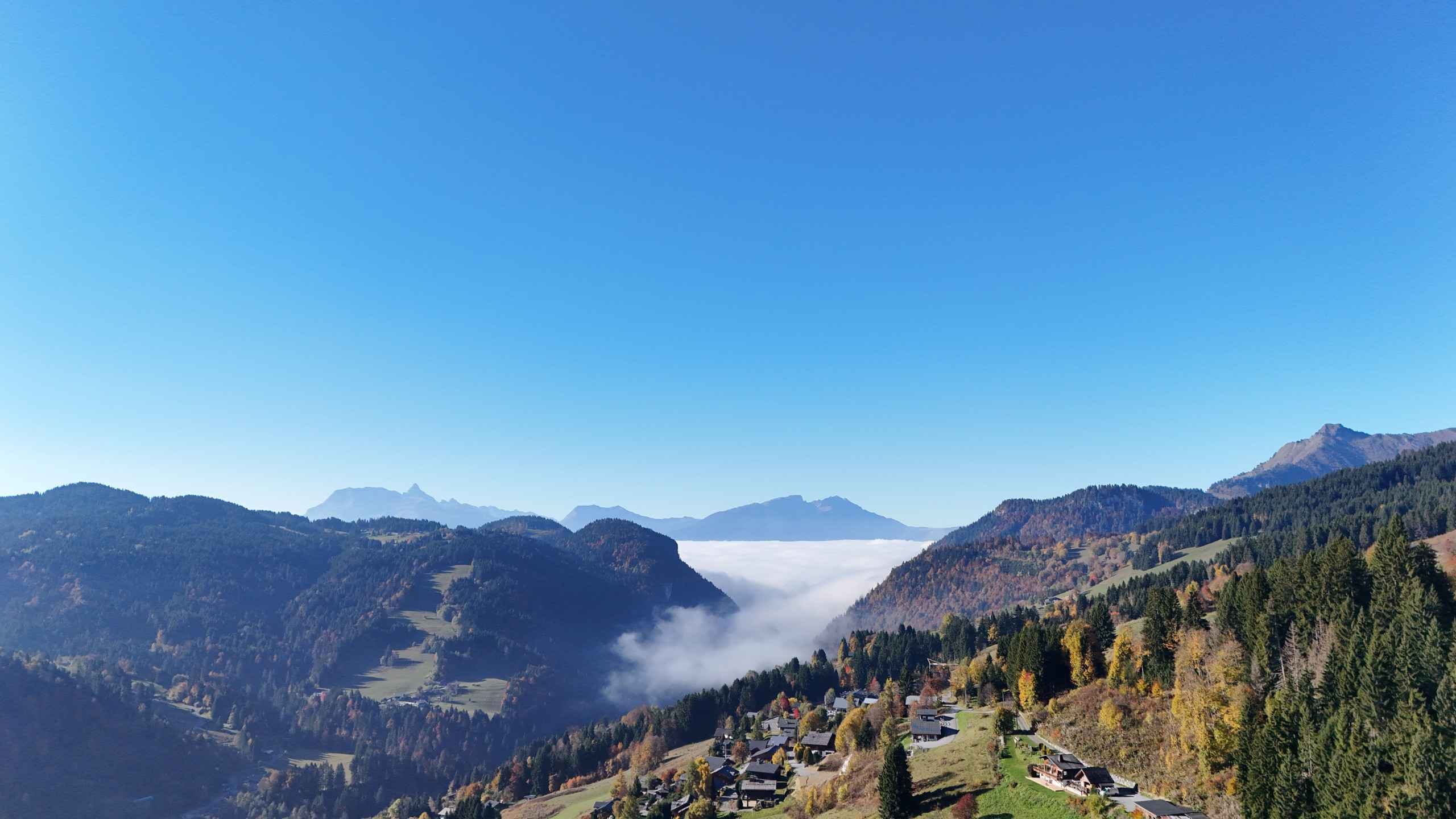 1767092012070dae307d64d951d84d06c044192d05 - Attribut alt par défaut.