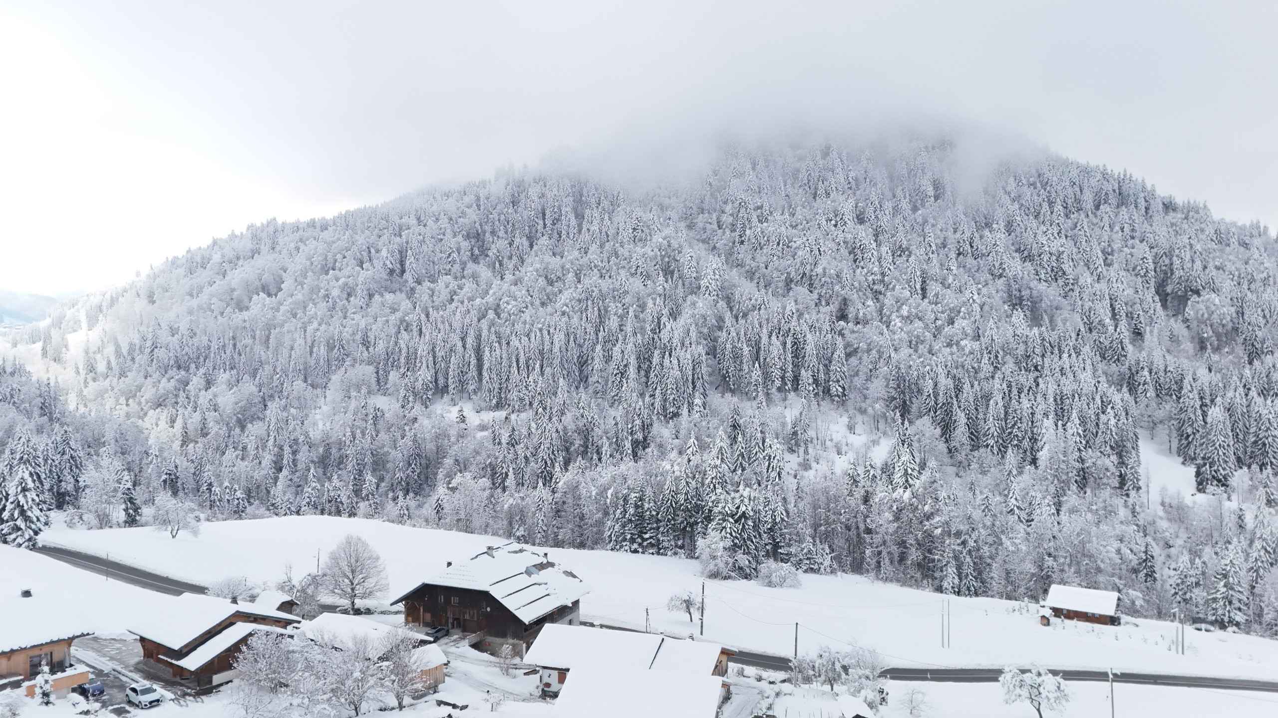 1768497270d00ccafd21fdeabe6ba080a821e09ba4 - Translation missing: en.helpers.application.image_tag.default_alt