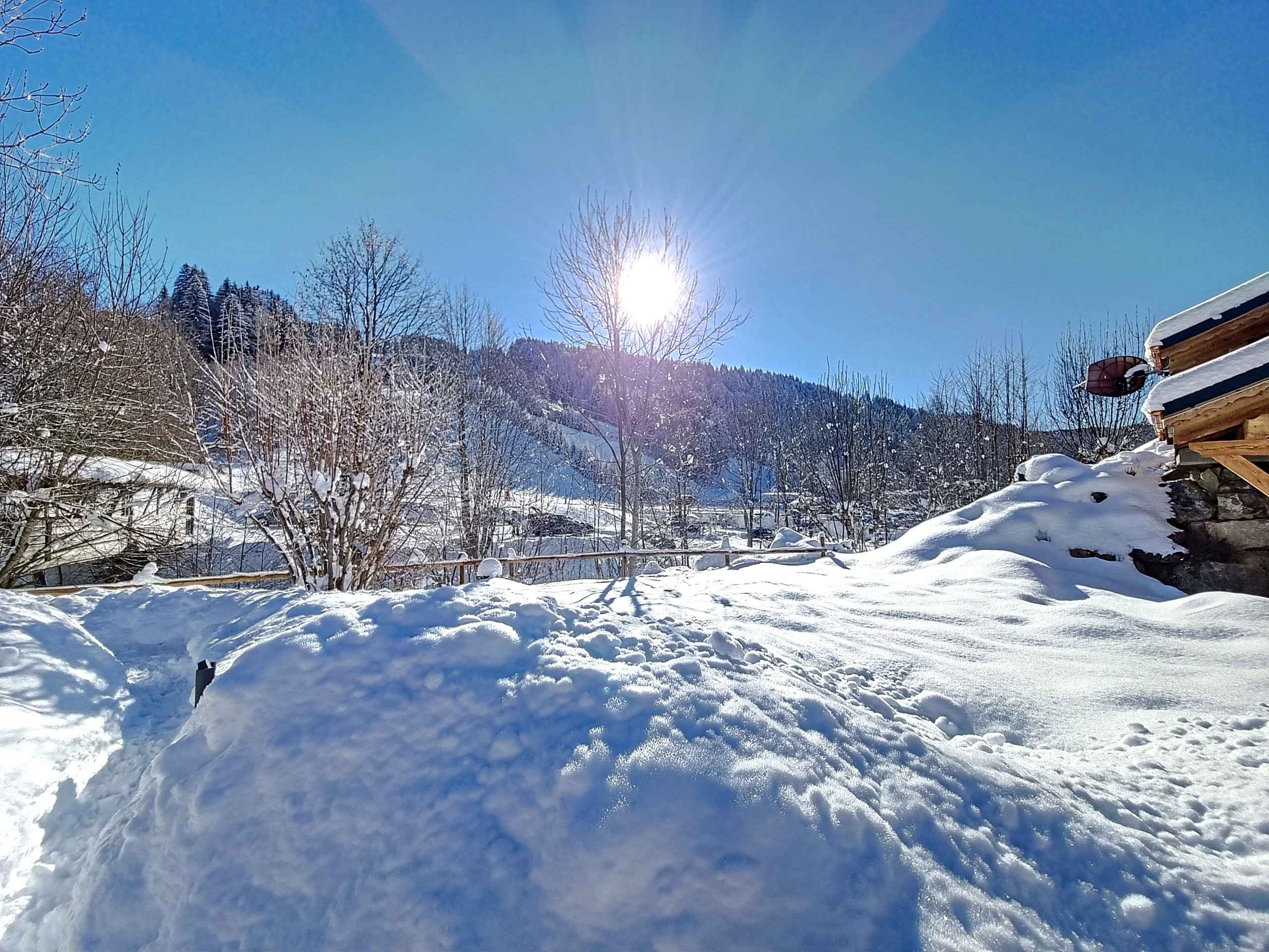 1710780290aa0c3575298e5c2804fc54ddc3bf4ce4 - Attribut alt par défaut.