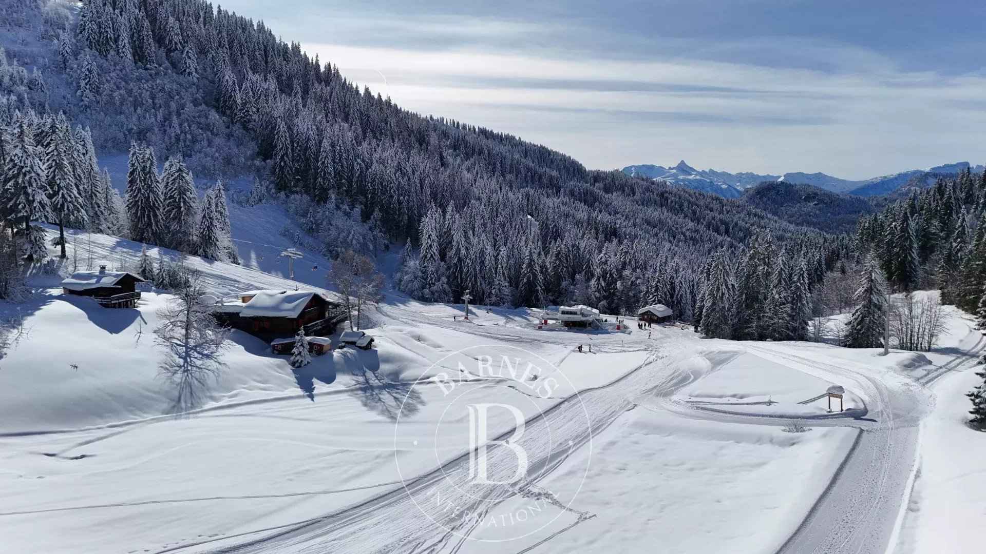 1bd2166ee906765c682f08508b21b5d3 77499e312f 1920 original - Attribut alt par défaut.