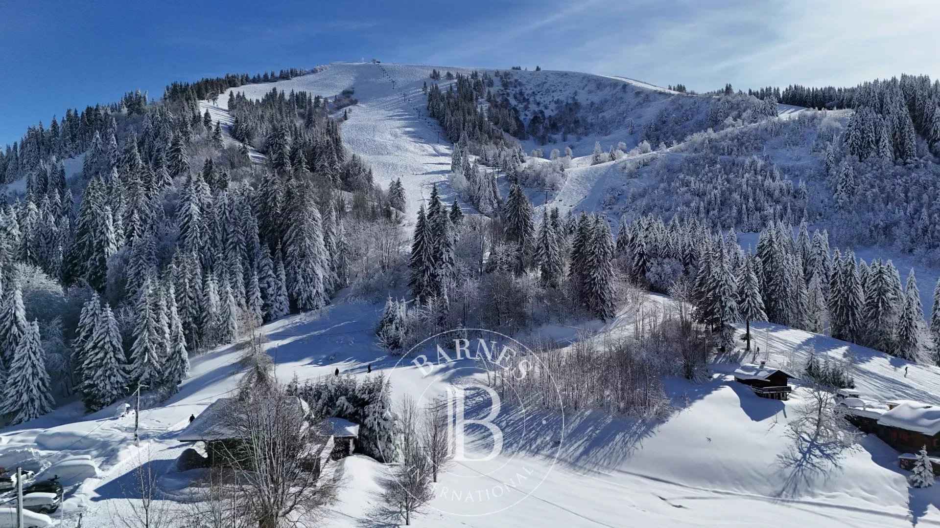 Da0ef98474de1c95f4708bce242f365c 7861f4e087 1920 original - Attribut alt par défaut.