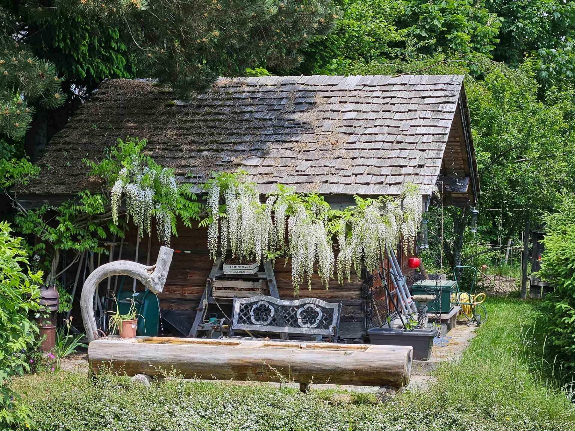 78f5c5c69fd0f9ab724cfc0736c5ffb3 5bc766d840 1920 original - Translation missing: en.helpers.application.image_tag.default_alt