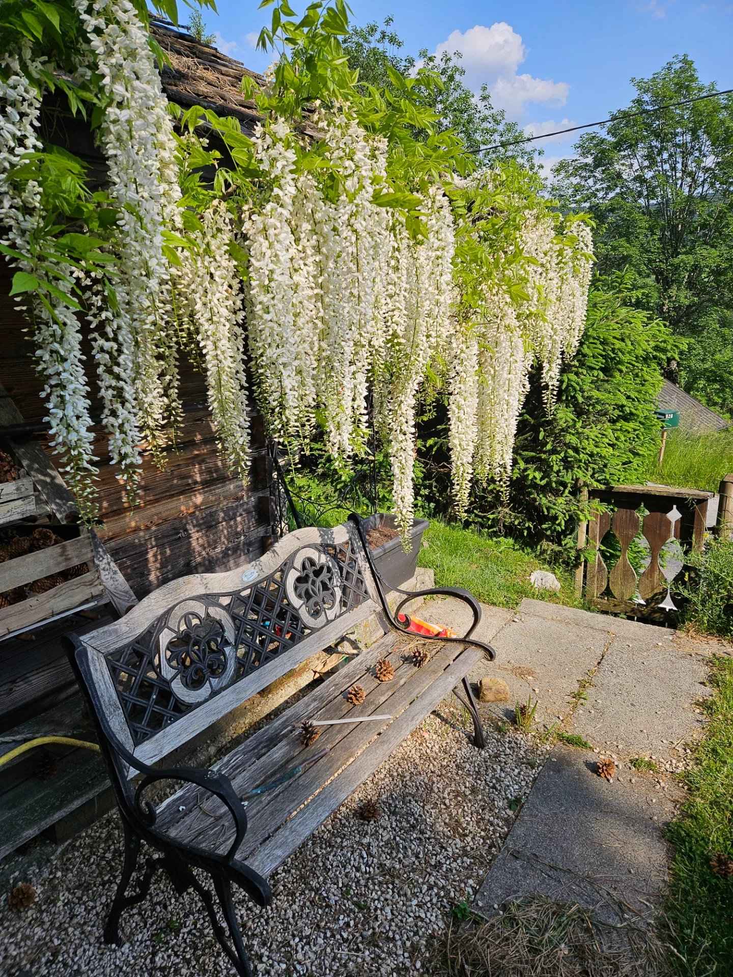 Bb0bf7debf6fb108c07f6b912c956025 2593ca6e4b 1920 original - Translation missing: en.helpers.application.image_tag.default_alt