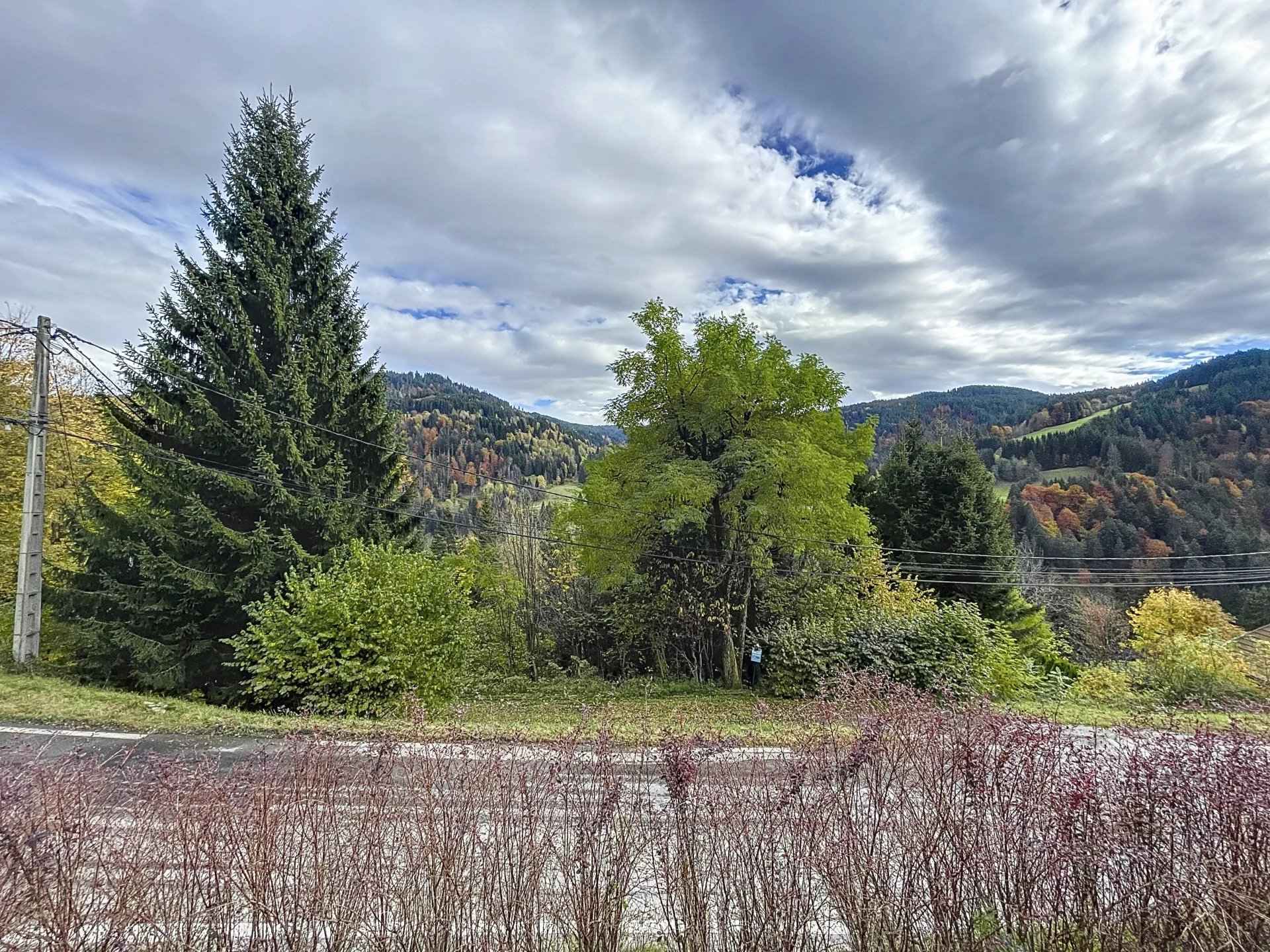 5397e56992edea5a29c7f87665351f12 5603dfbdf5 1920 original - Translation missing: en.helpers.application.image_tag.default_alt