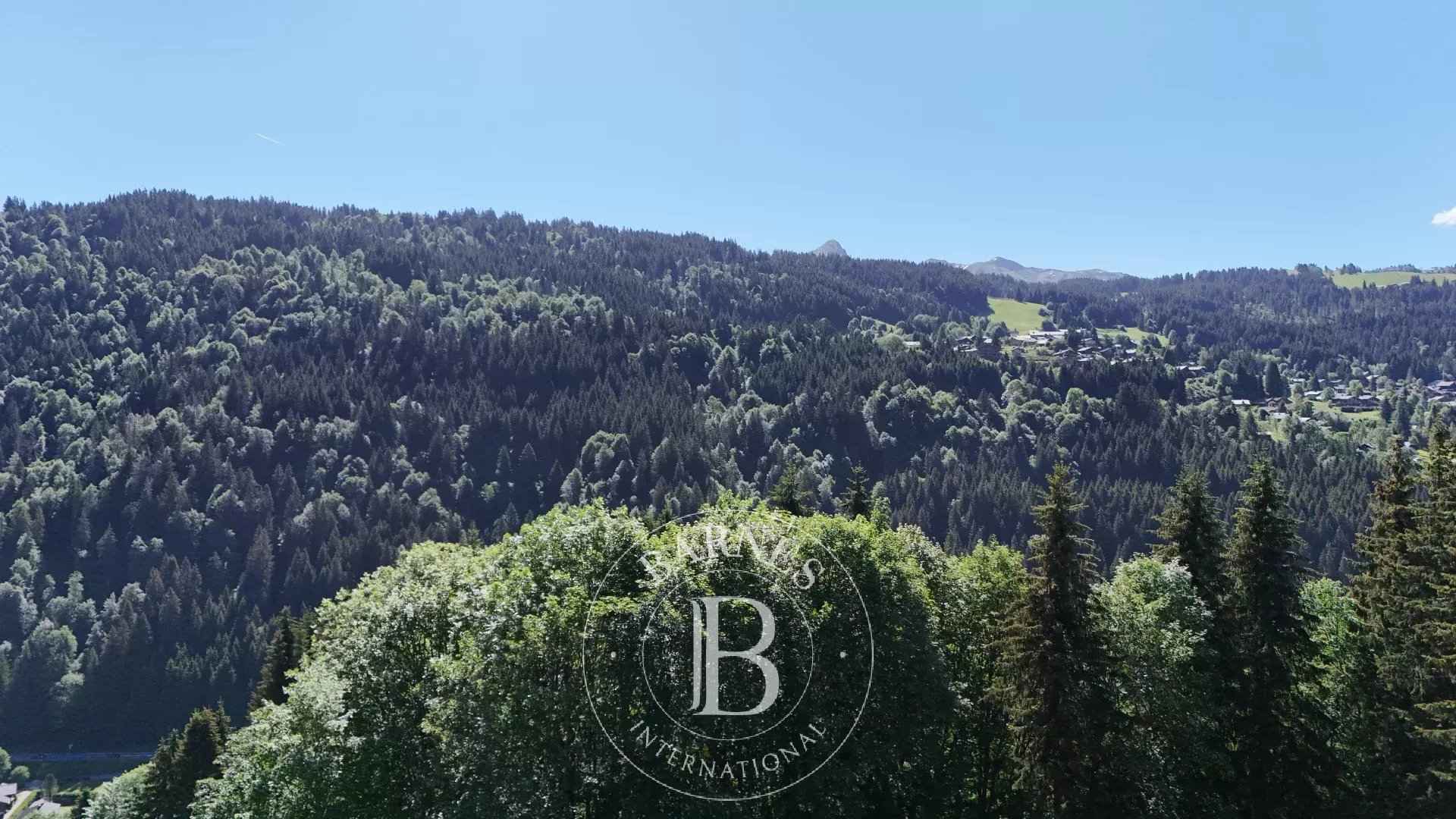 F4a5afd5bb6ba41bbe1daebe4b9e3924 d16ee68196 1920 original - Attribut alt par défaut.